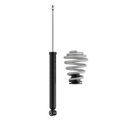 DTS Gewindefahrwerk BMW  3er M3 E36 (M3B, M3/B)  | 30-60  / 20-45